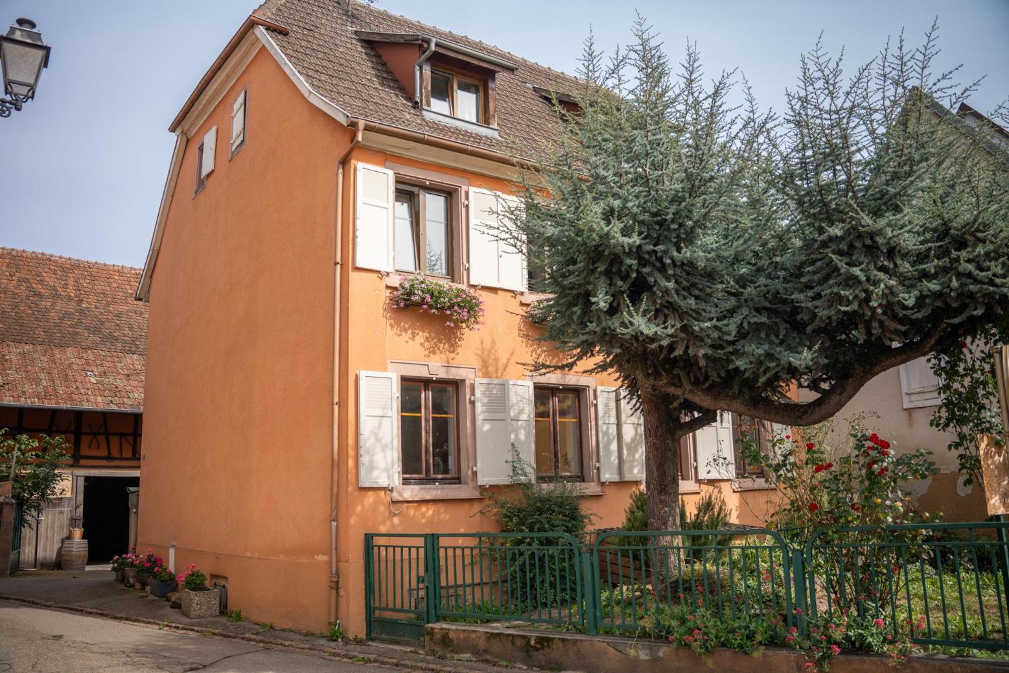 Gite La Grange Eguisheim Bagian luar foto